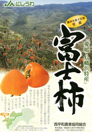 富士柿