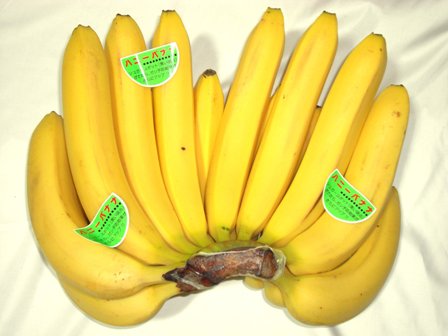 ハニーバナナ