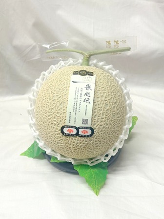 一果相伝メロン