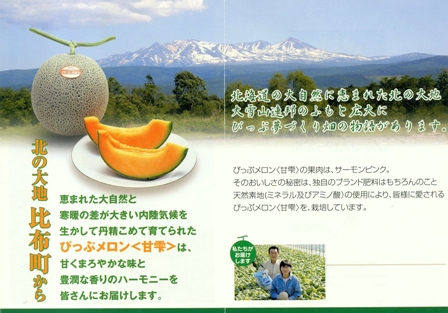 ぴっぷメロン