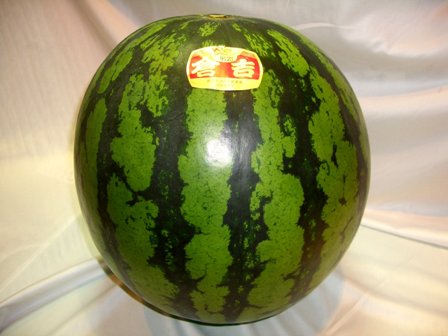 超大玉！鳥取県産倉吉西瓜！